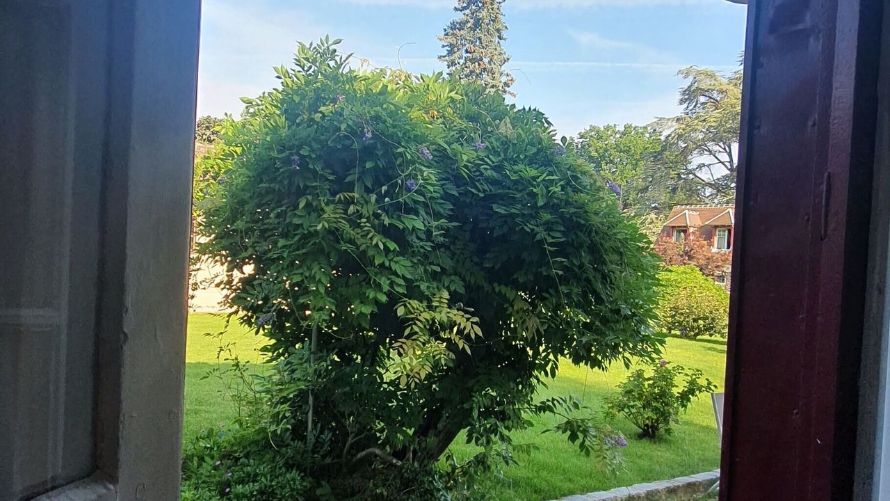 Photo of Outdoor in Coye-la-Foret