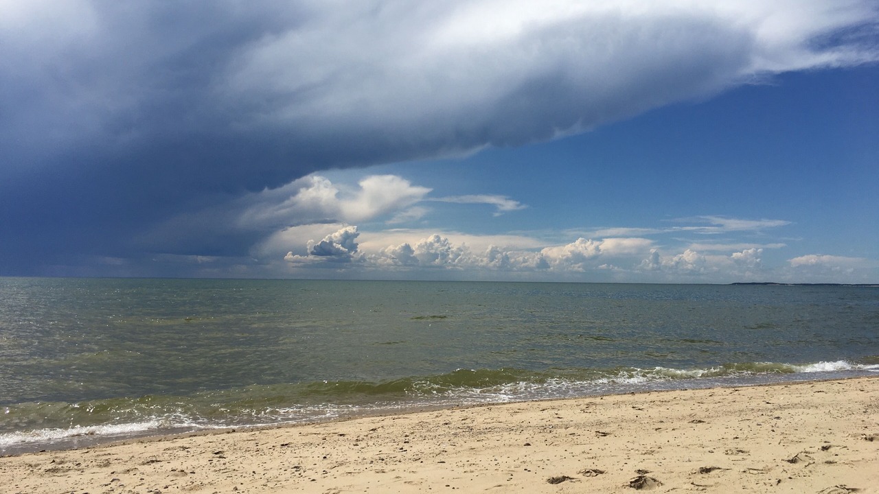 Photo of Others in Eastham