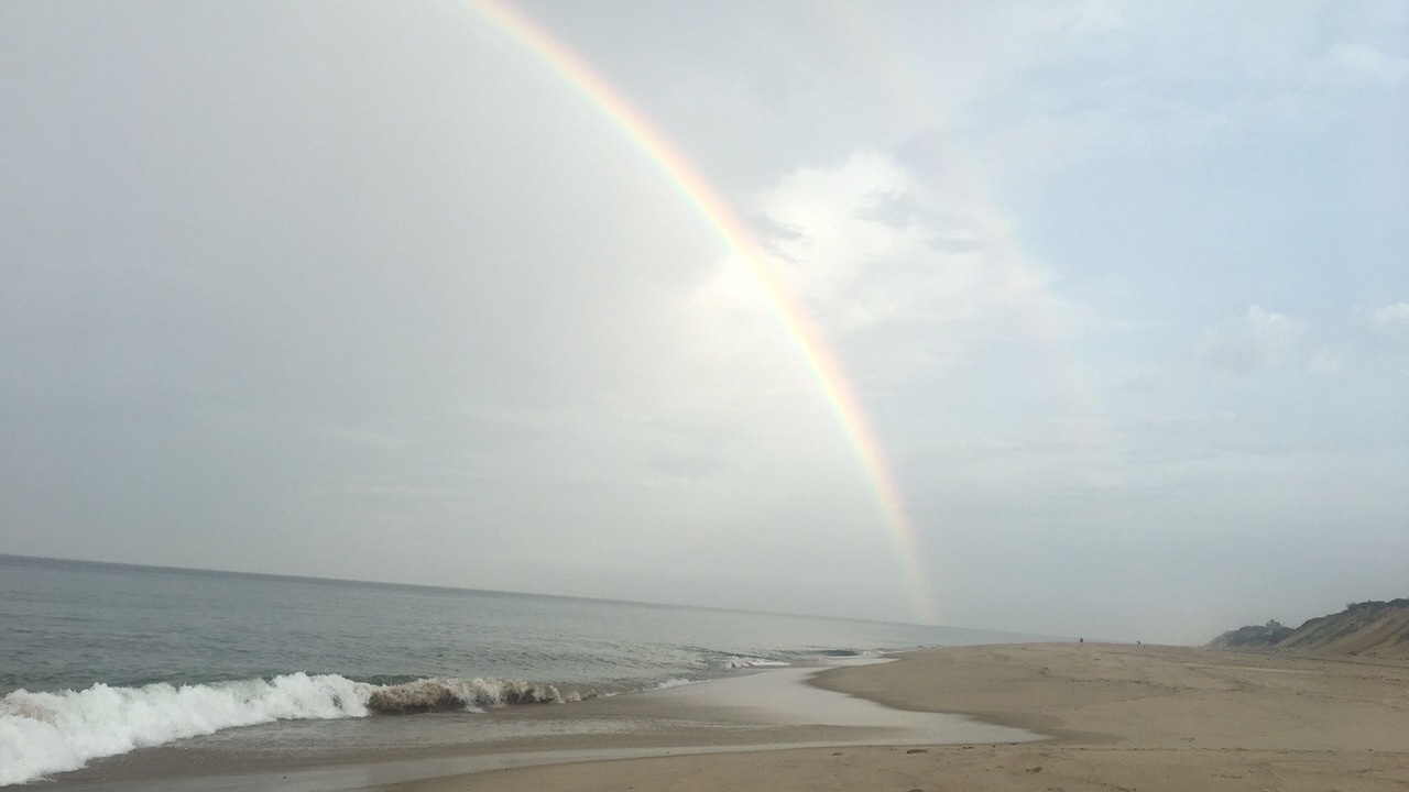 Photo of Others in Eastham