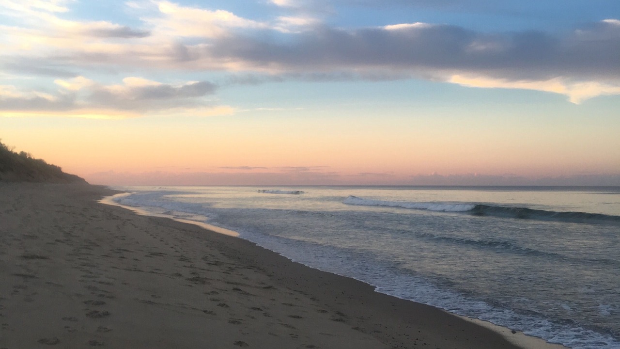 Photo of Others in Eastham