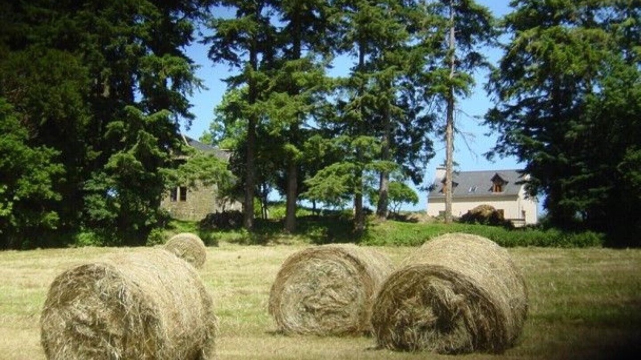 Photo of Outdoor in Langoelan
