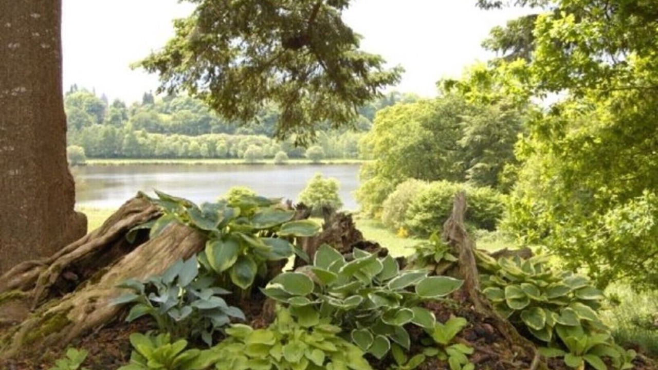 Photo of Outdoor in Langoelan