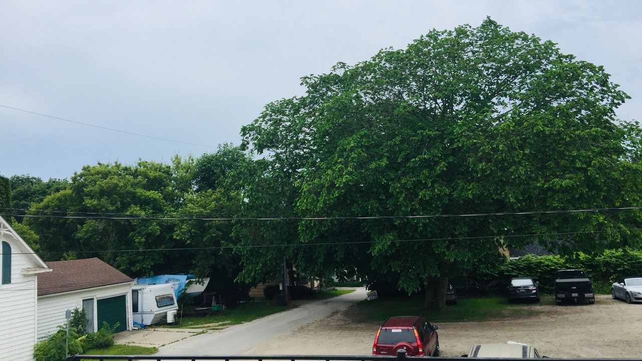 Photo of Outdoor in Southampton