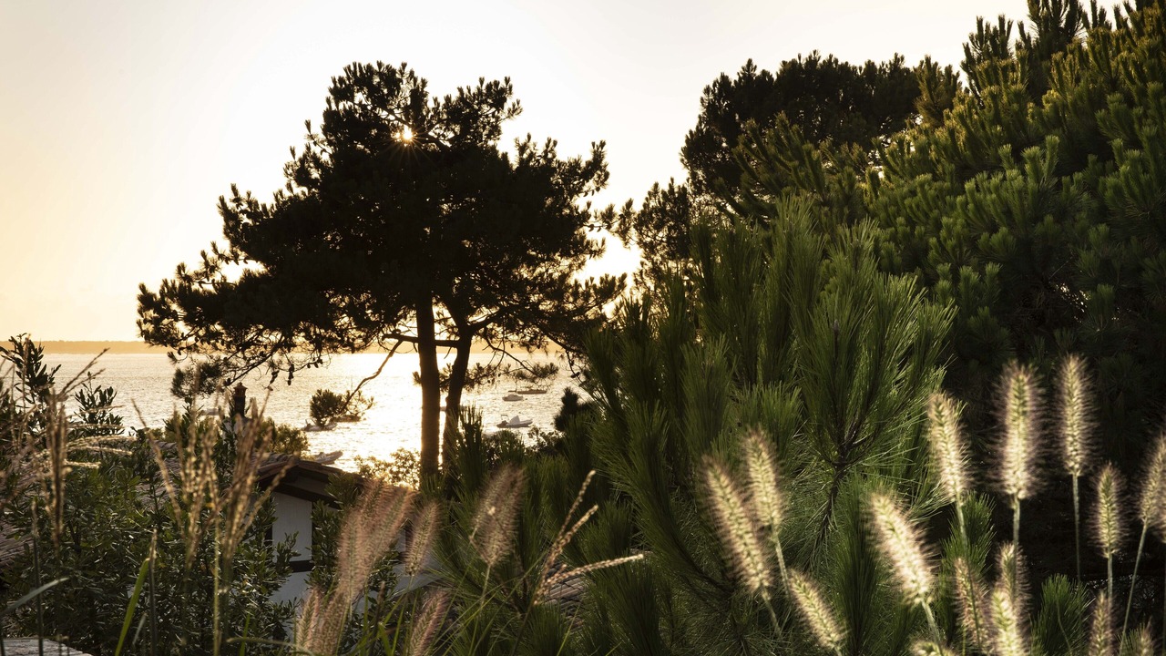 Photo of Outdoor in Pyla-sur-Mer