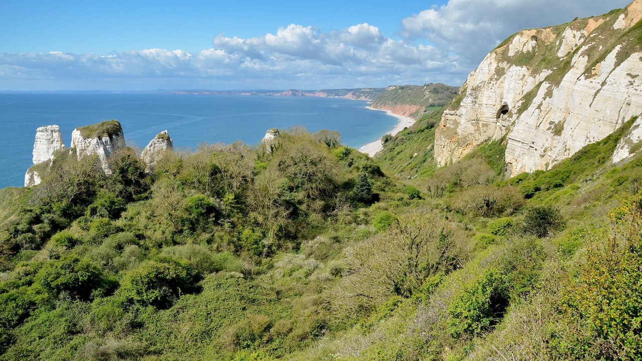 Photo of Others in Honiton