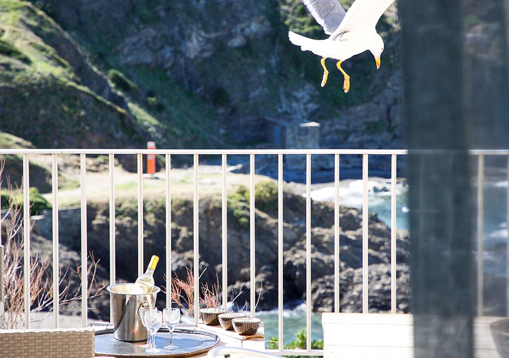 Photo of Outdoor in Collioure
