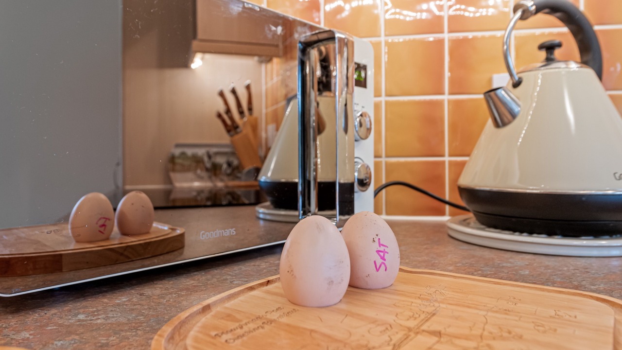 Photo of Others in Bathgate