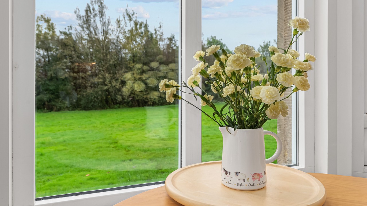 Photo of Others in Bathgate