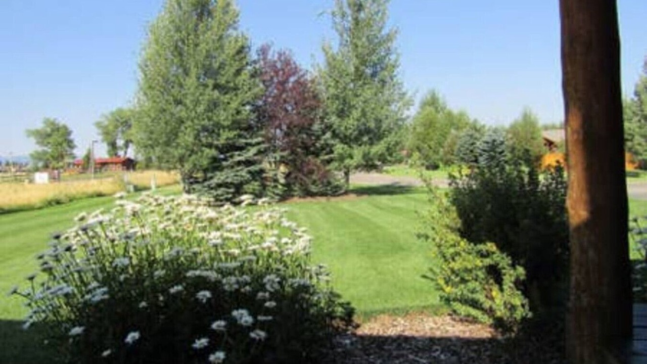 Photo of Outdoor in Victor