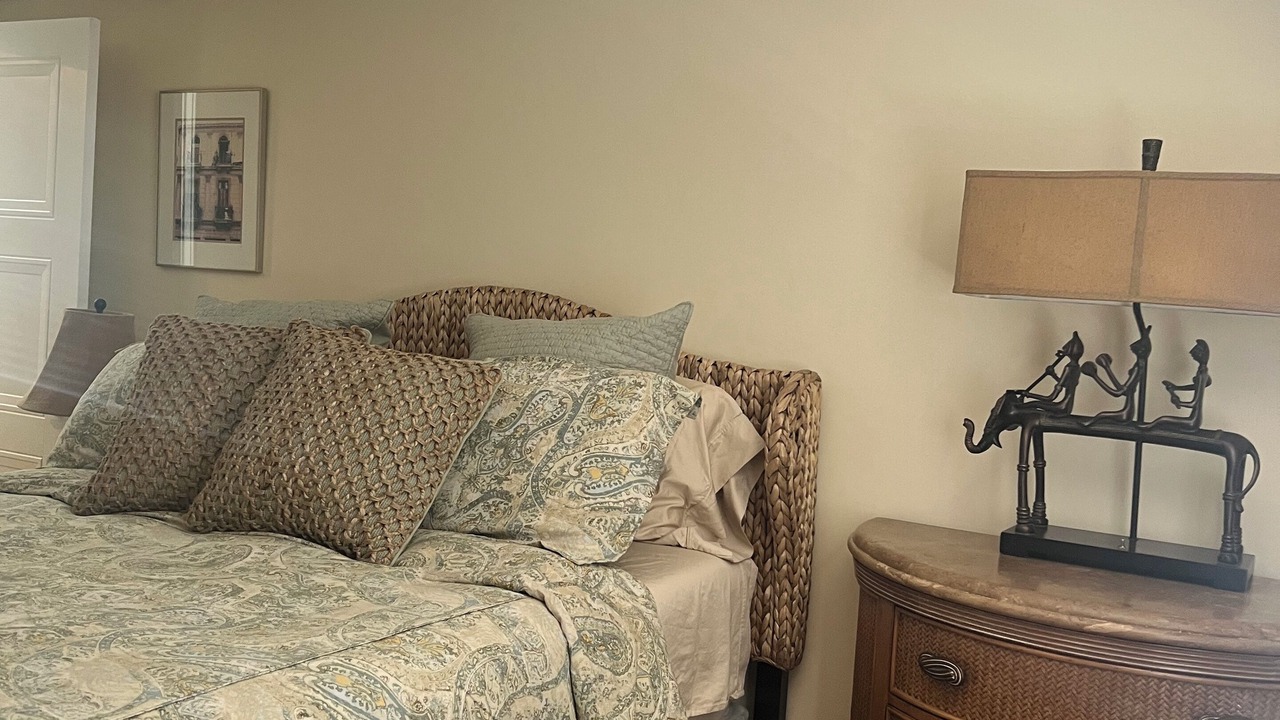 Photo of Bedroom in Davis Islands