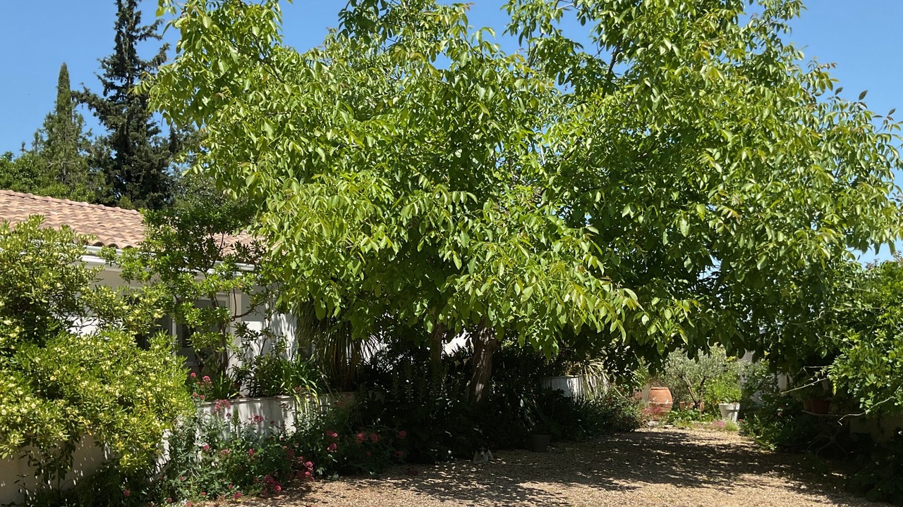 Photo of Outdoor in Uzes
