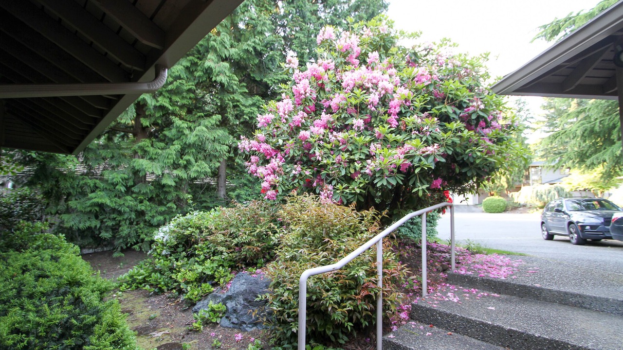 Photo of Outdoor in Northwest Bellevue