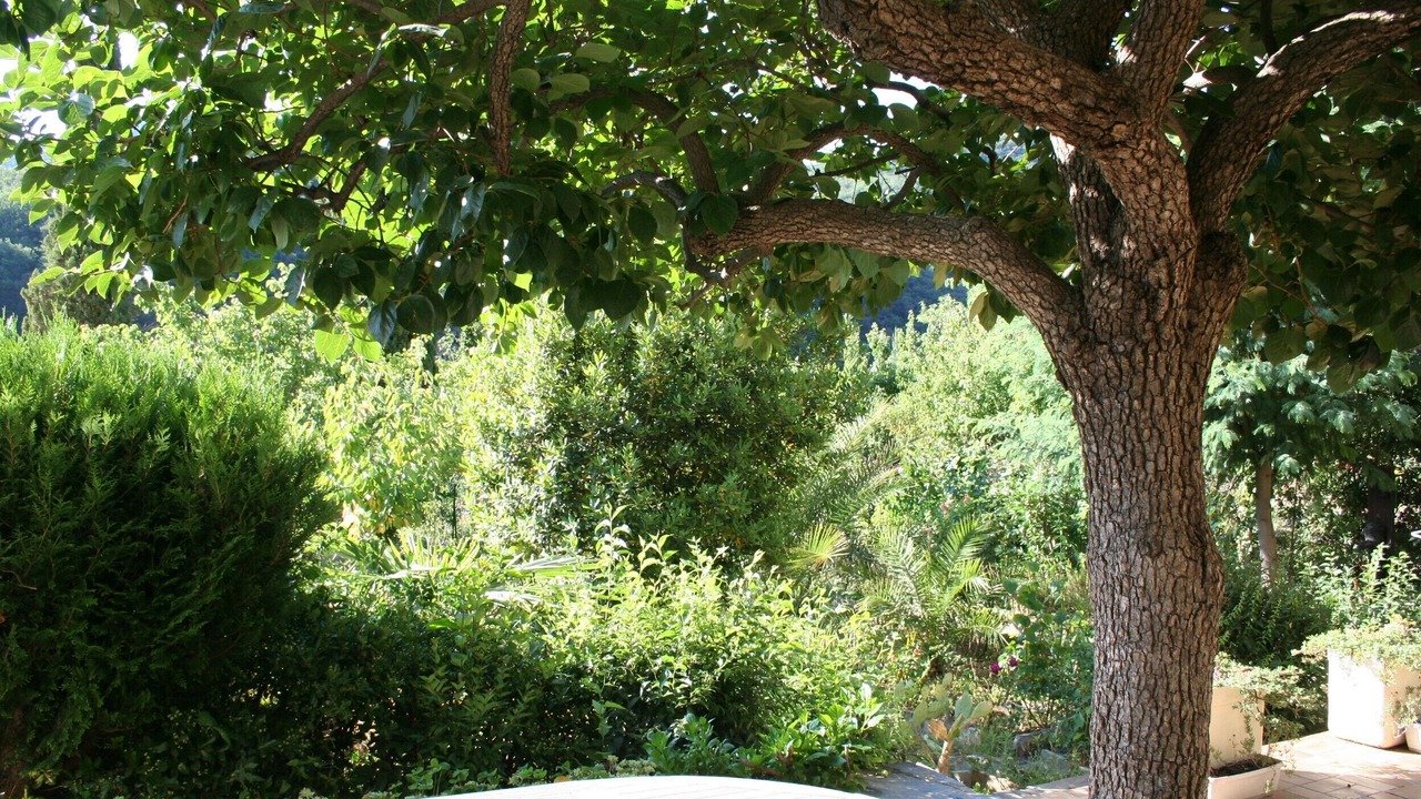 Photo of Outdoor in Amelie-les-Bains-Palalda