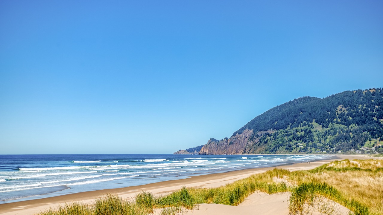 Photo of Others in Manzanita