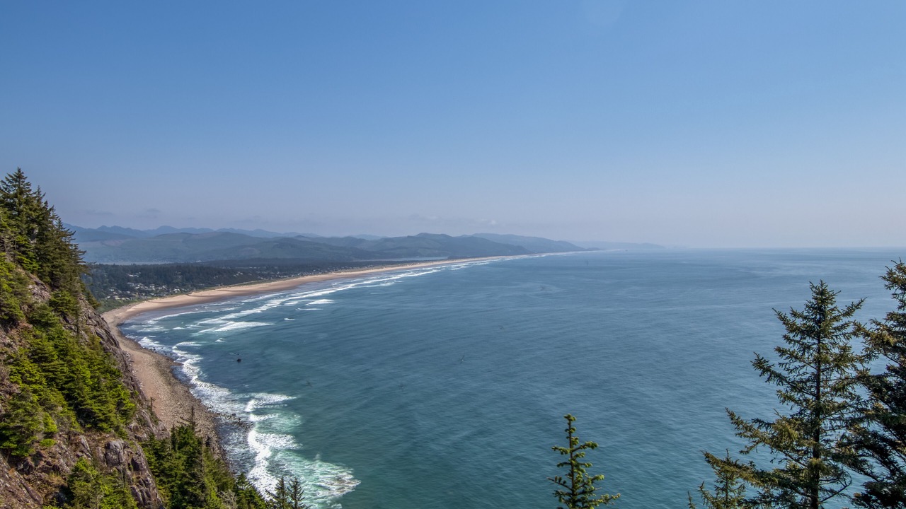 Photo of Others in Manzanita