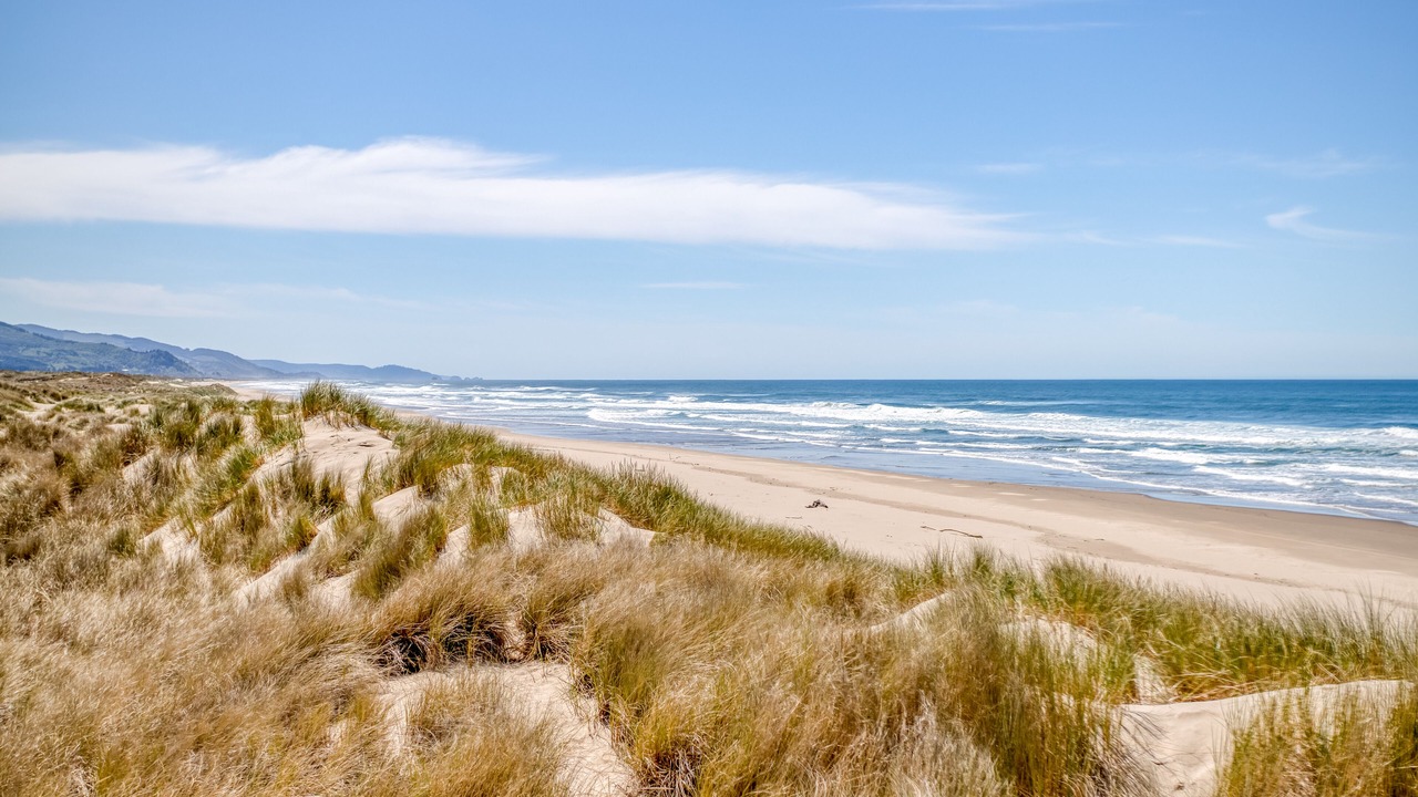 Photo of Others in Manzanita