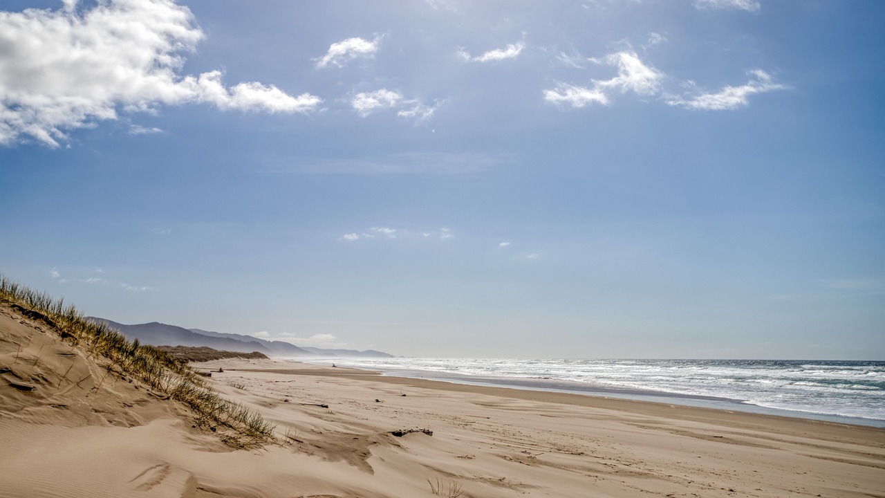 Photo of Others in Manzanita