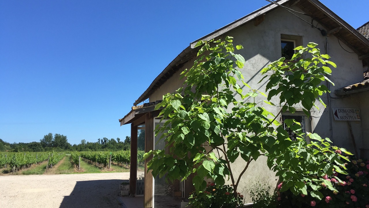 Photo of Outdoor in Albias