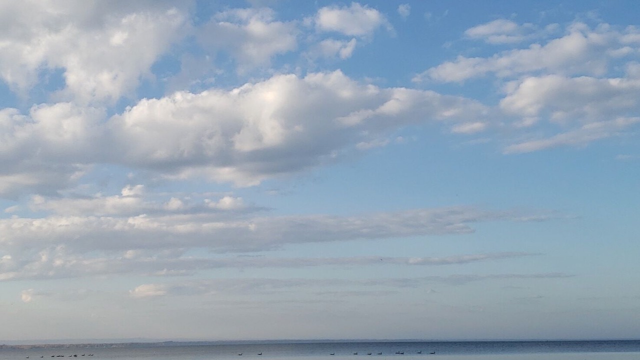 Photo of Others in Blossvale