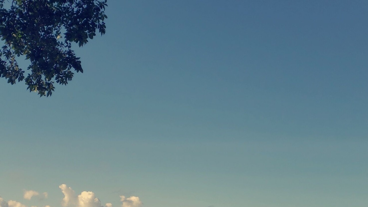 Photo of Others in Blossvale