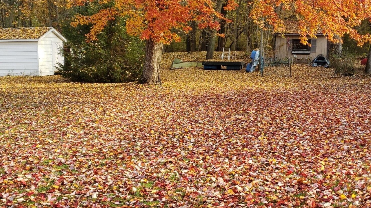 Photo of Outdoor in Blossvale