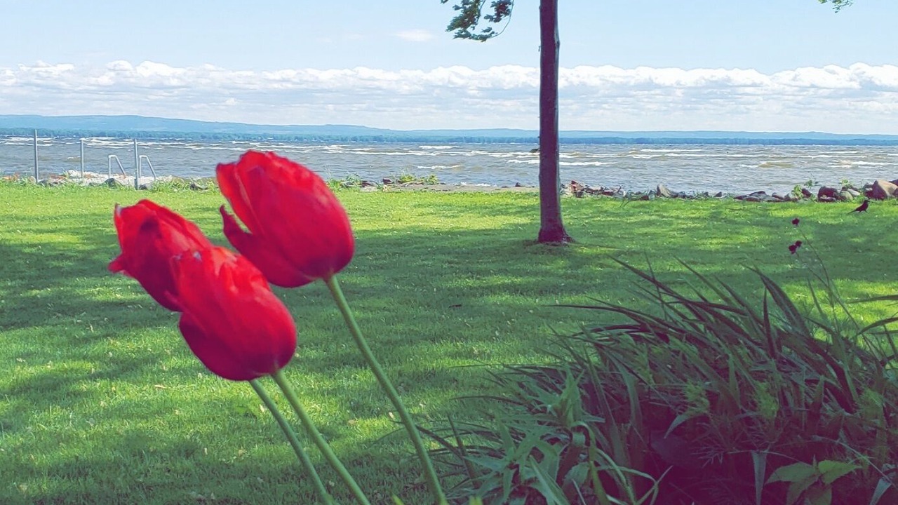 Photo of Outdoor in Blossvale