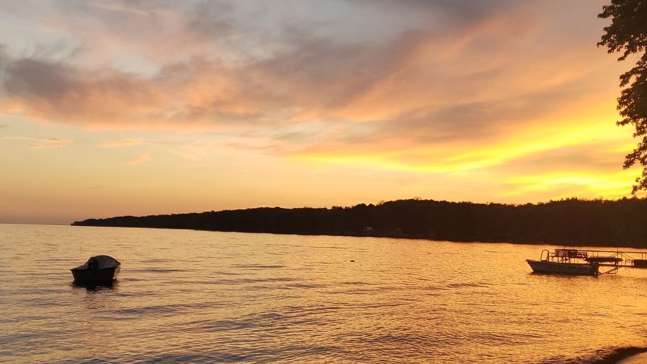 Photo of Others in Blossvale