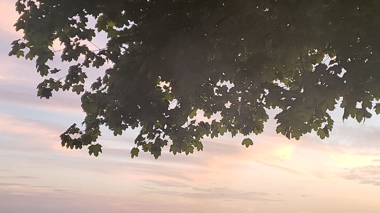 Photo of Outdoor in Blossvale