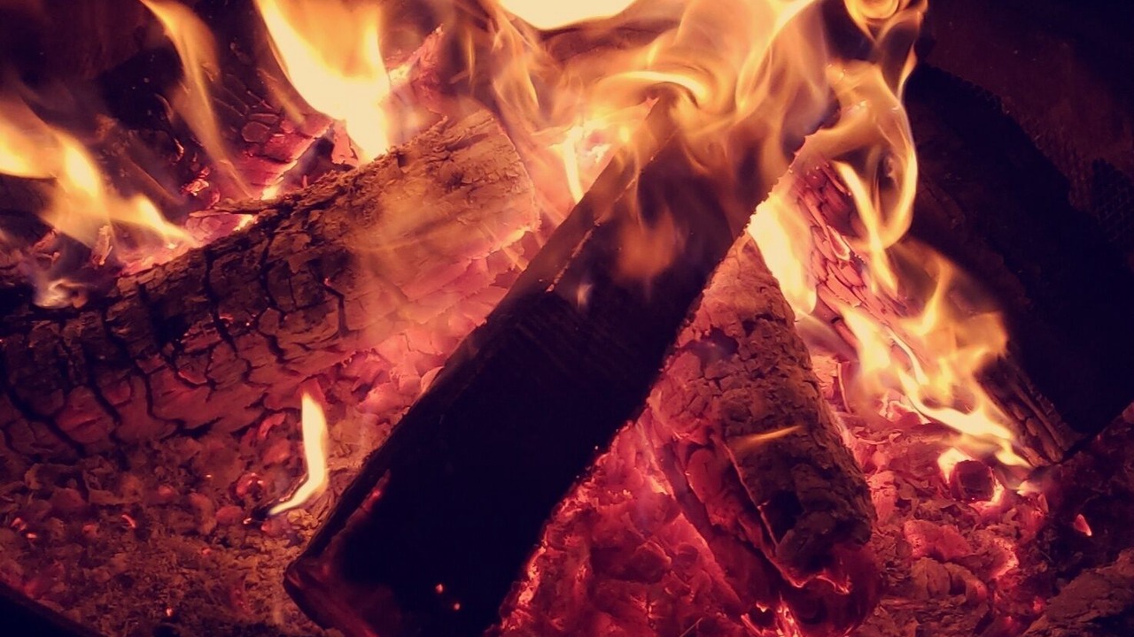 Photo of Others in Blossvale