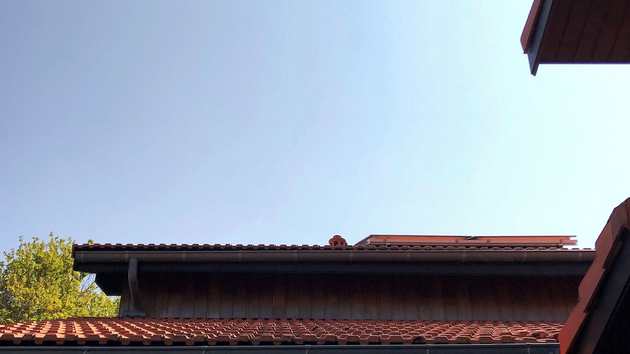 Photo of Others in Gujan-Mestras