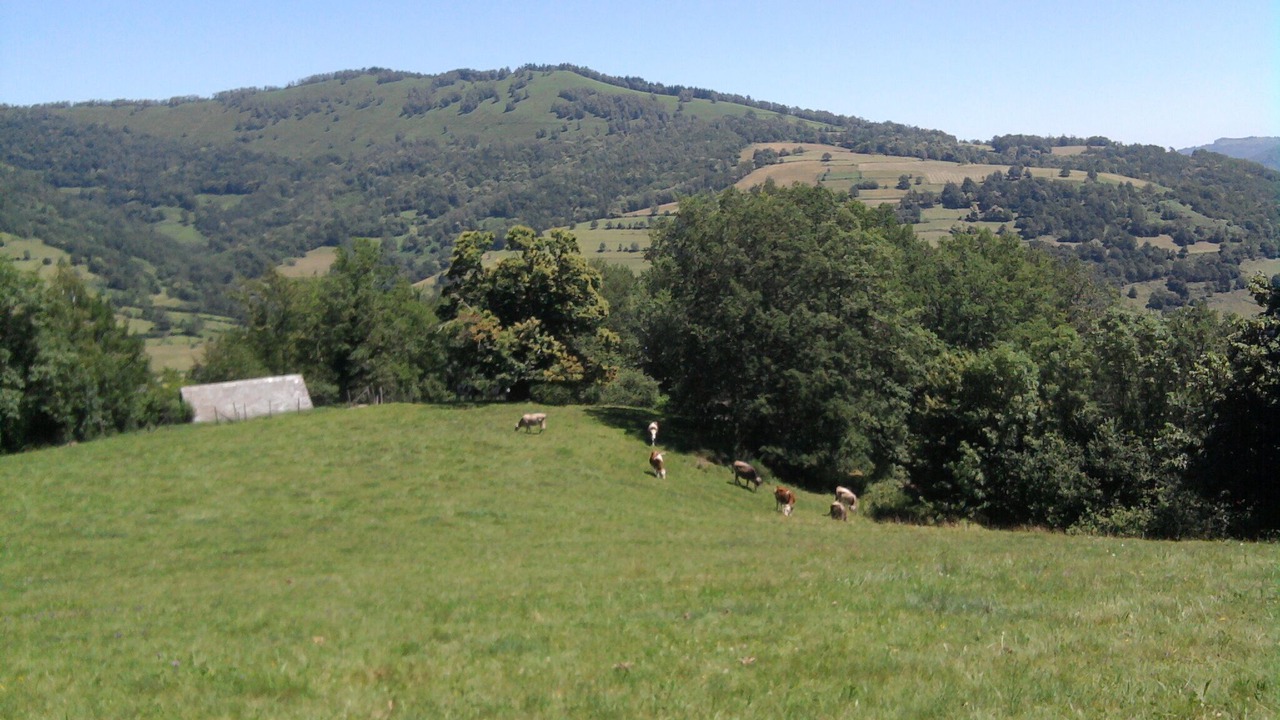 Photo of Outdoor in Argein