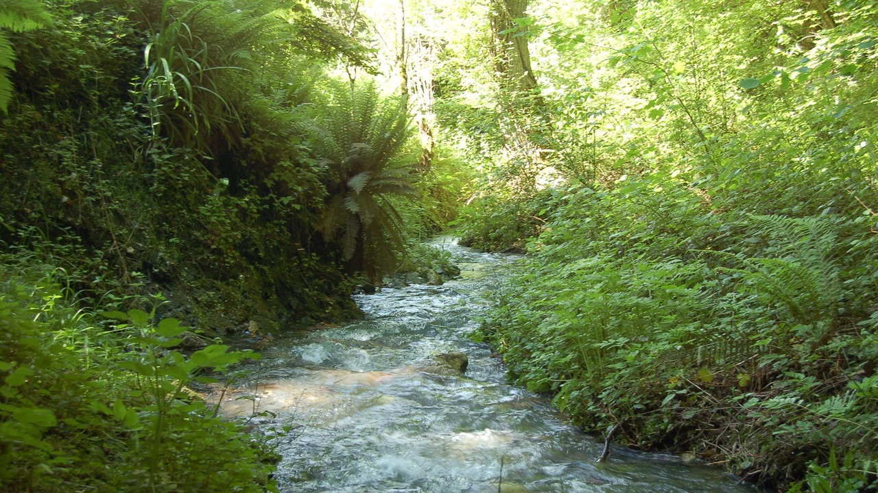 Photo of Outdoor in Argein