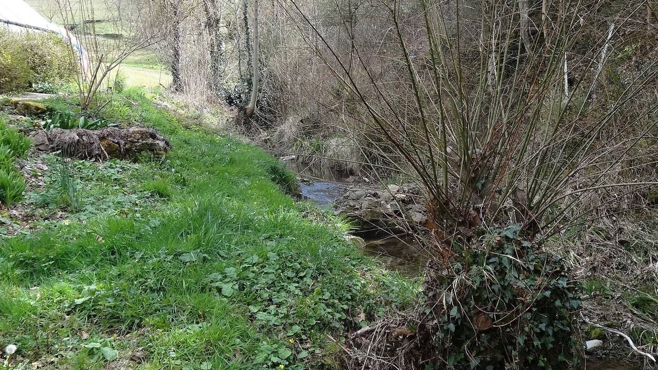 Photo of Others in Albieres