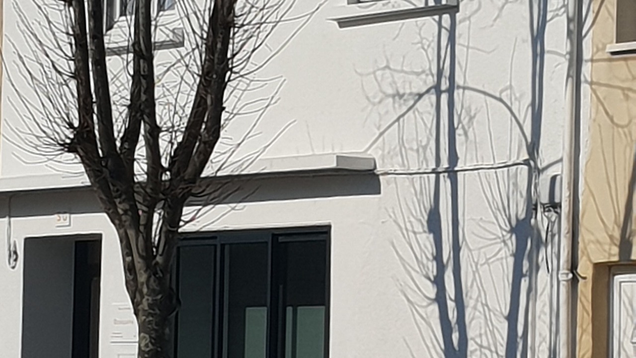 Photo of Others in Talmont-Saint-Hilaire