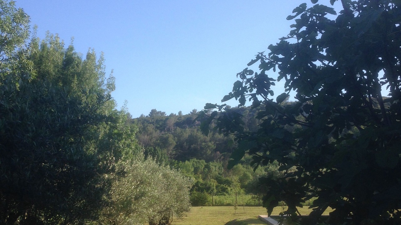 Photo of Outdoor in Grabels