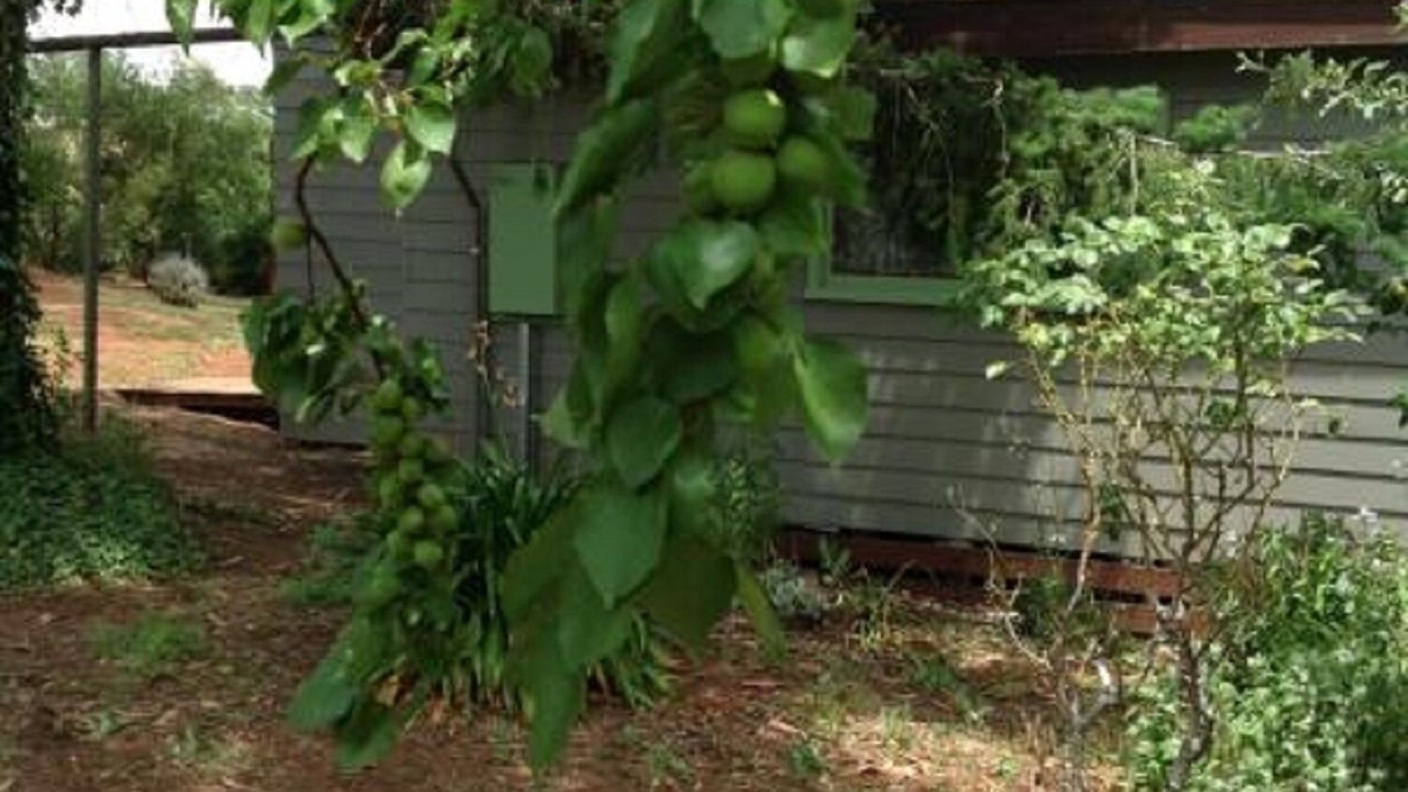 Photo of Outdoor in Coomoora