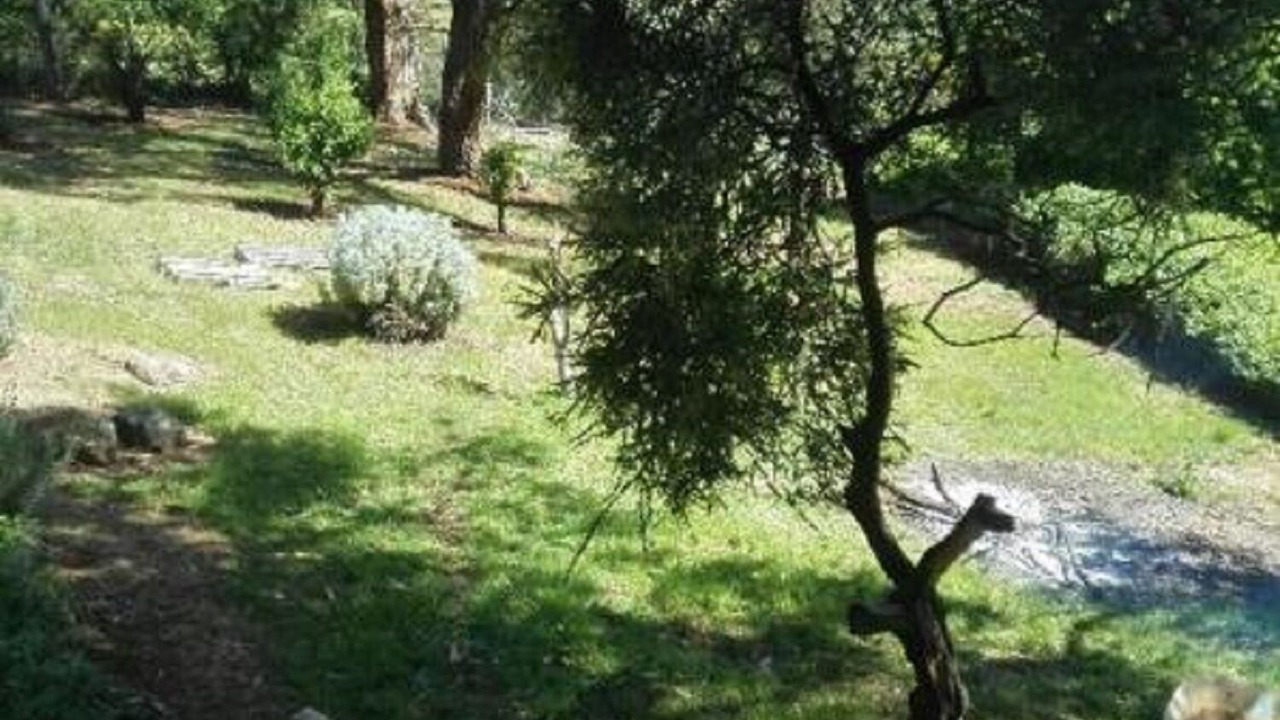 Photo of Outdoor in Coomoora