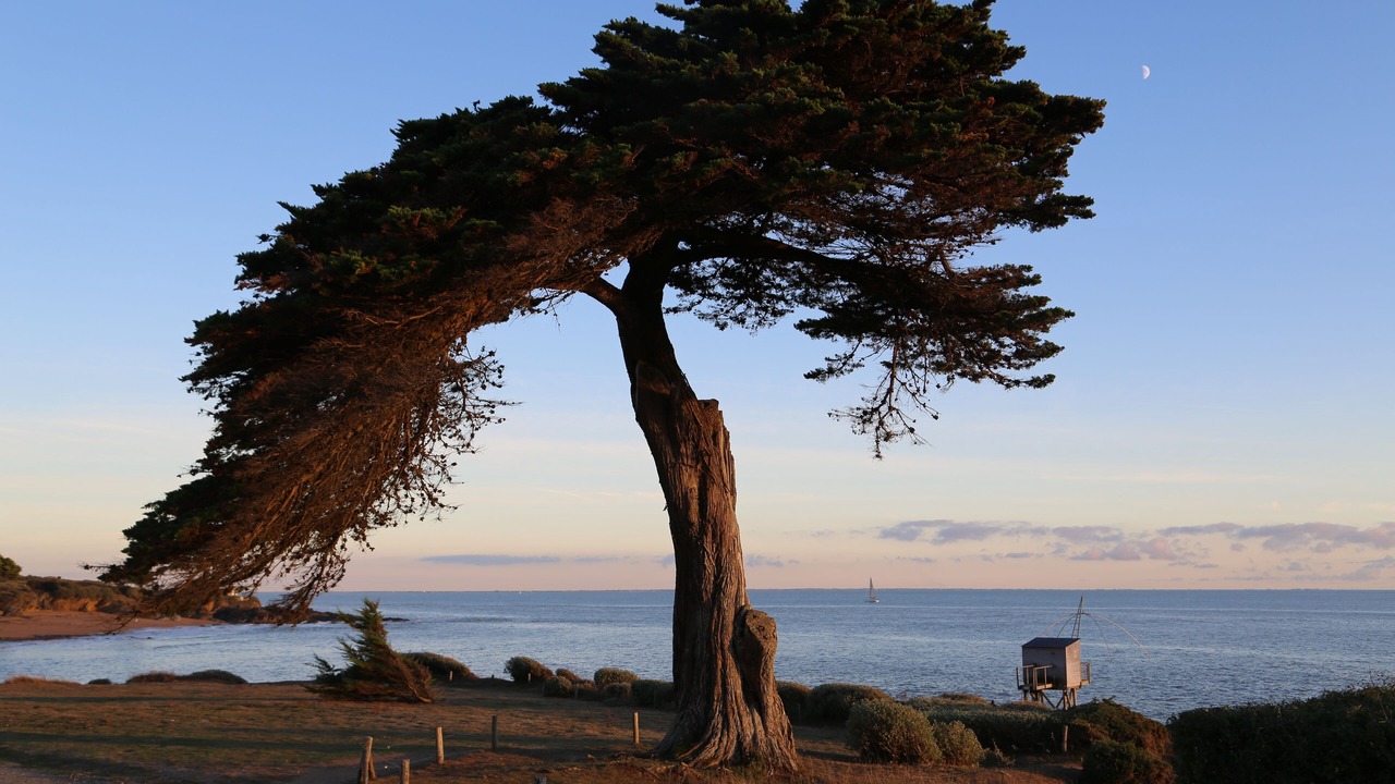 Photo of Outdoor in Pornic