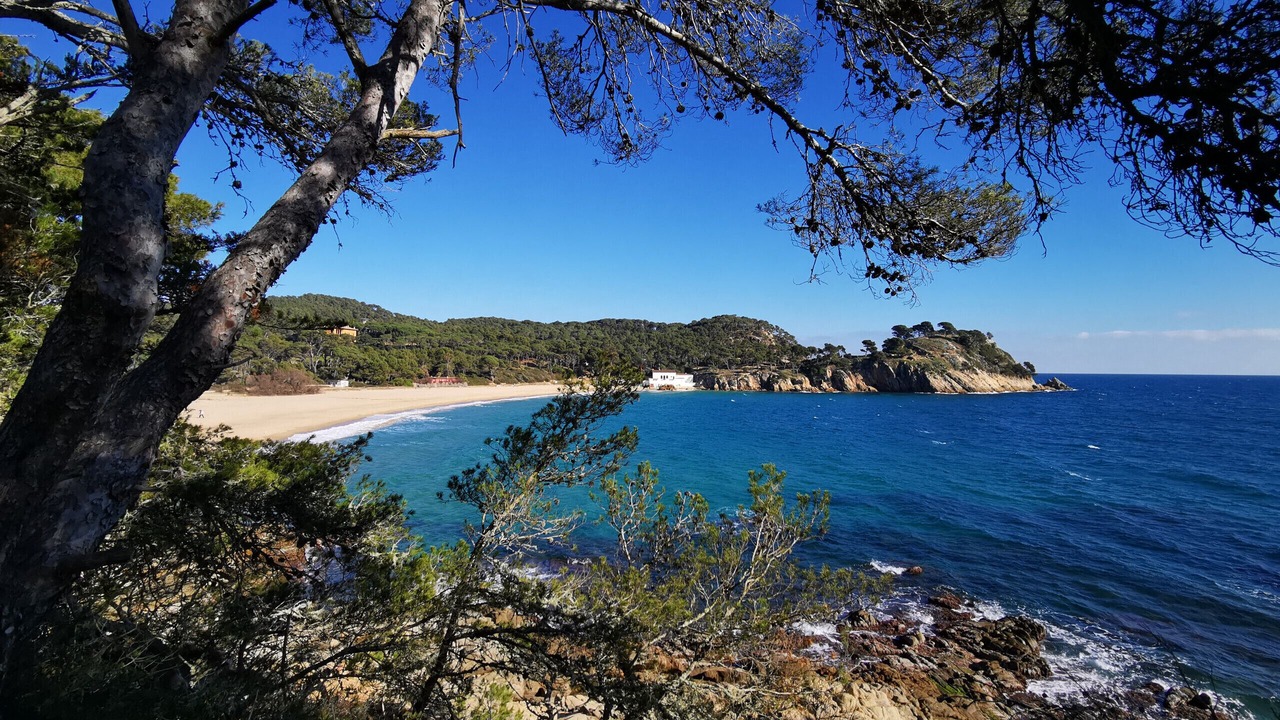 Photo of Others in Palamos