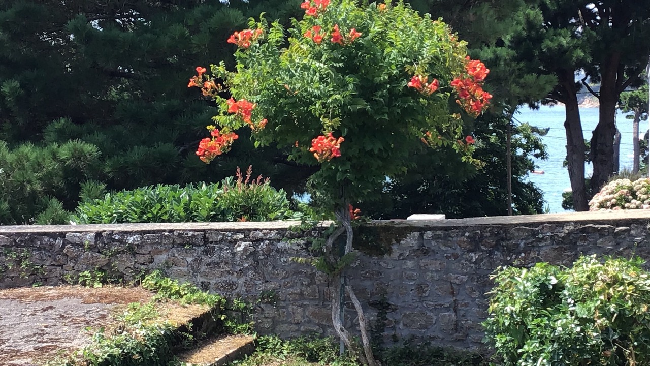 Photo of Outdoor in Ile-aux-Moines