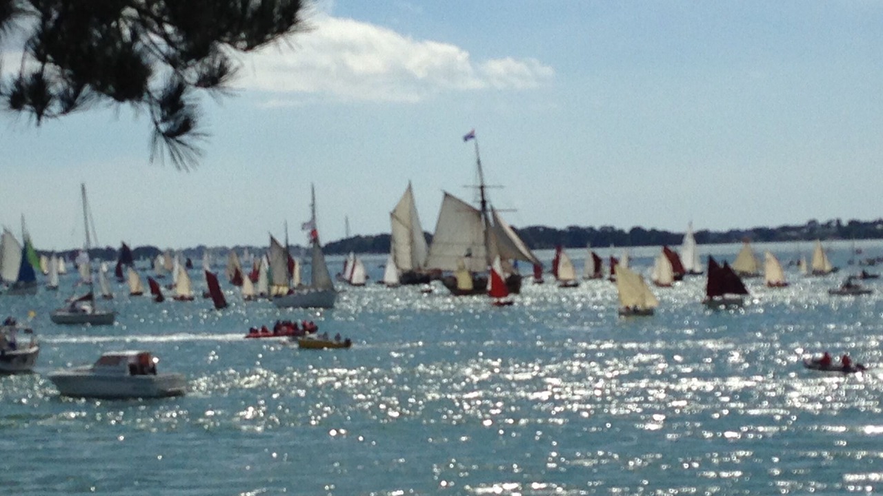 Photo of Others in Ile-aux-Moines