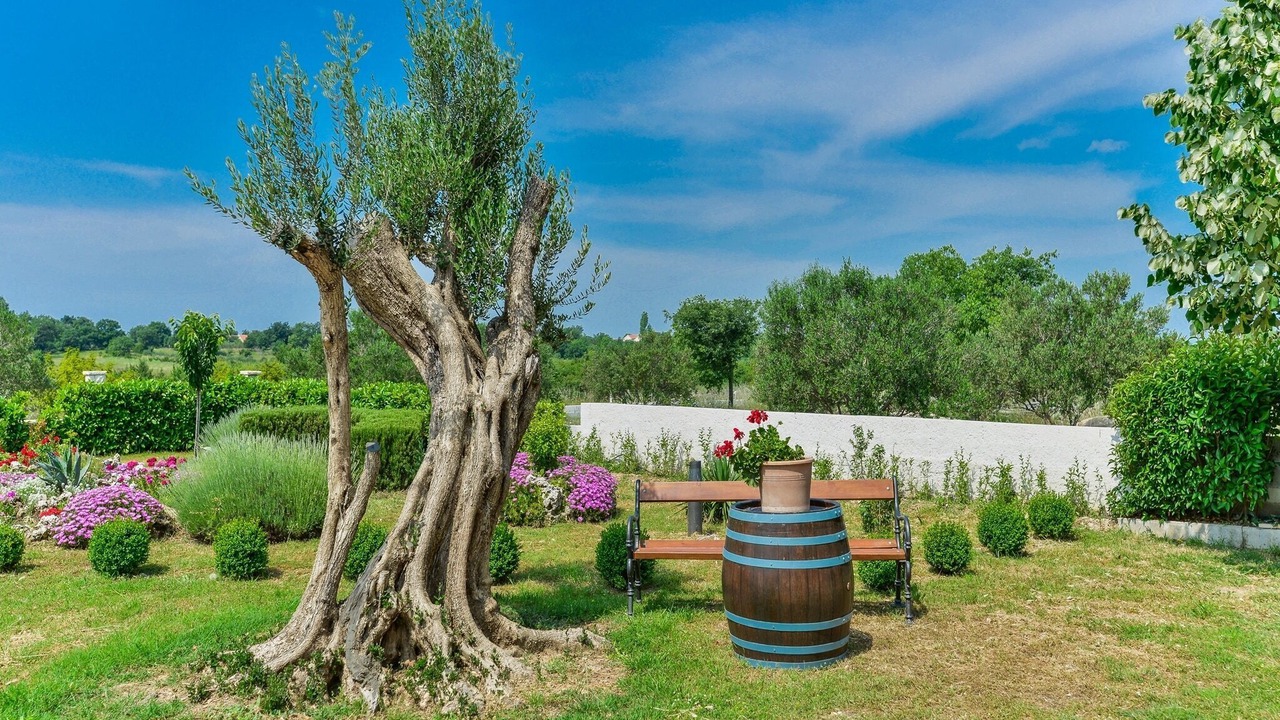 Photo of Outdoor in Pristeg