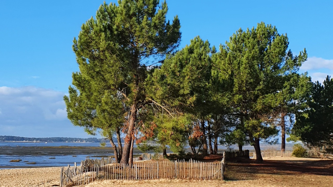 Photo of Others in Andernos-les-Bains