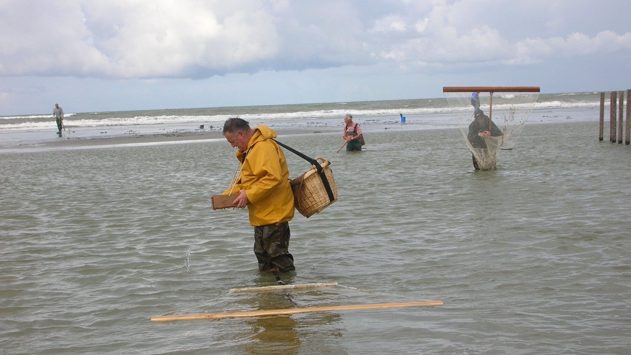 Photo of Others in Wimereux