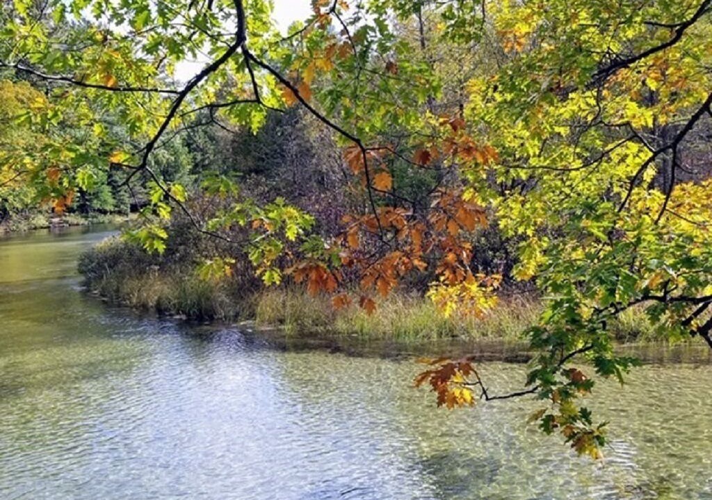 Photo of Outdoor in Thompsonville