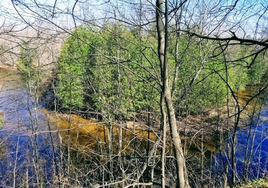 Photo of Outdoor in Thompsonville
