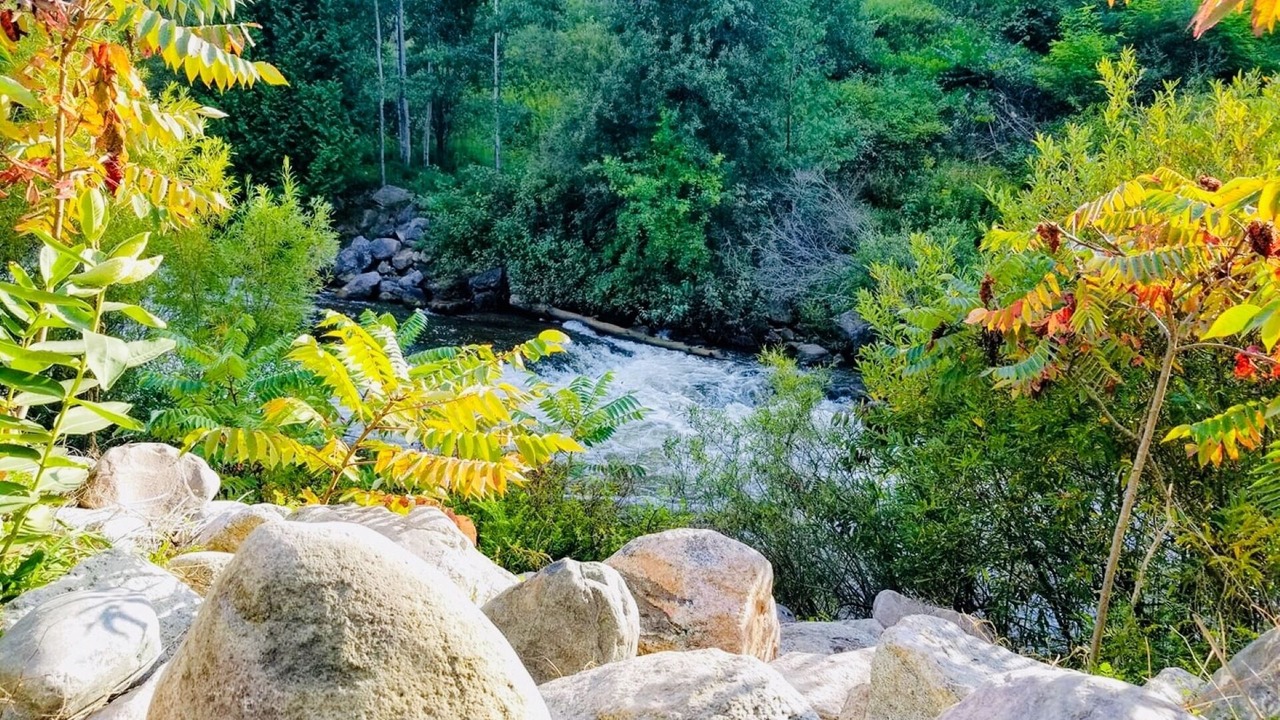 Photo of Outdoor in Thompsonville