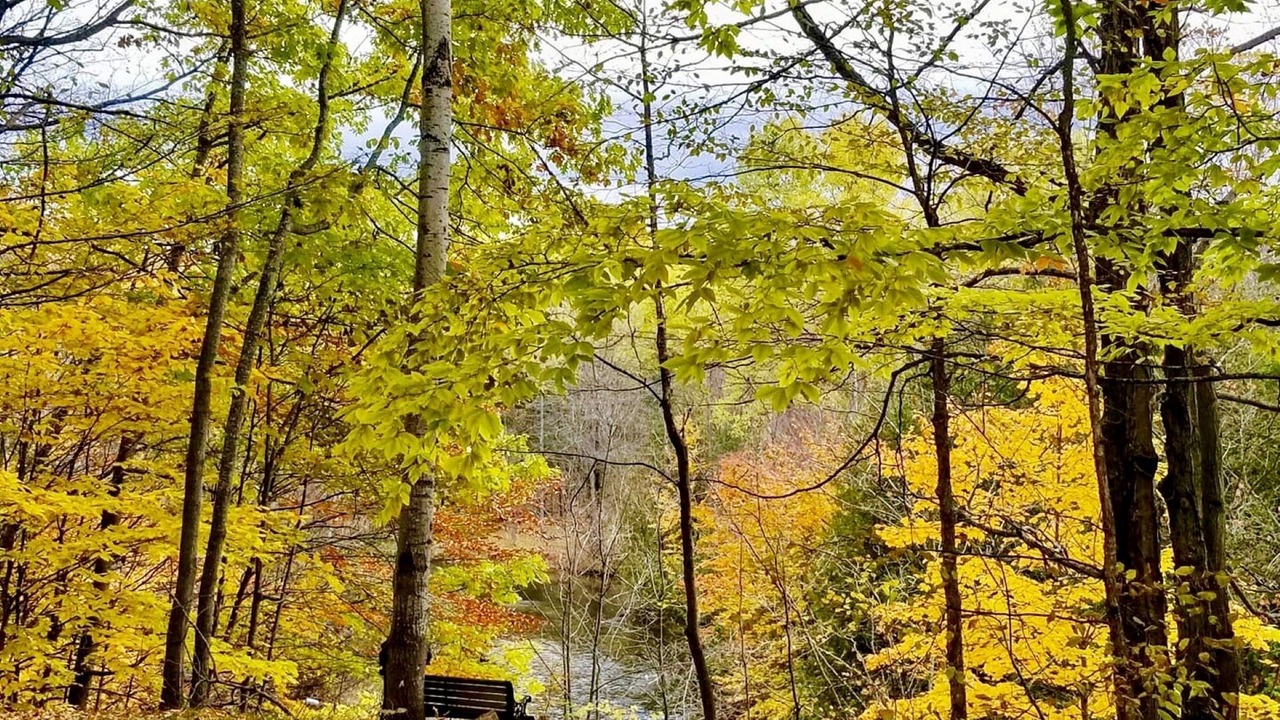 Photo of Outdoor in Thompsonville