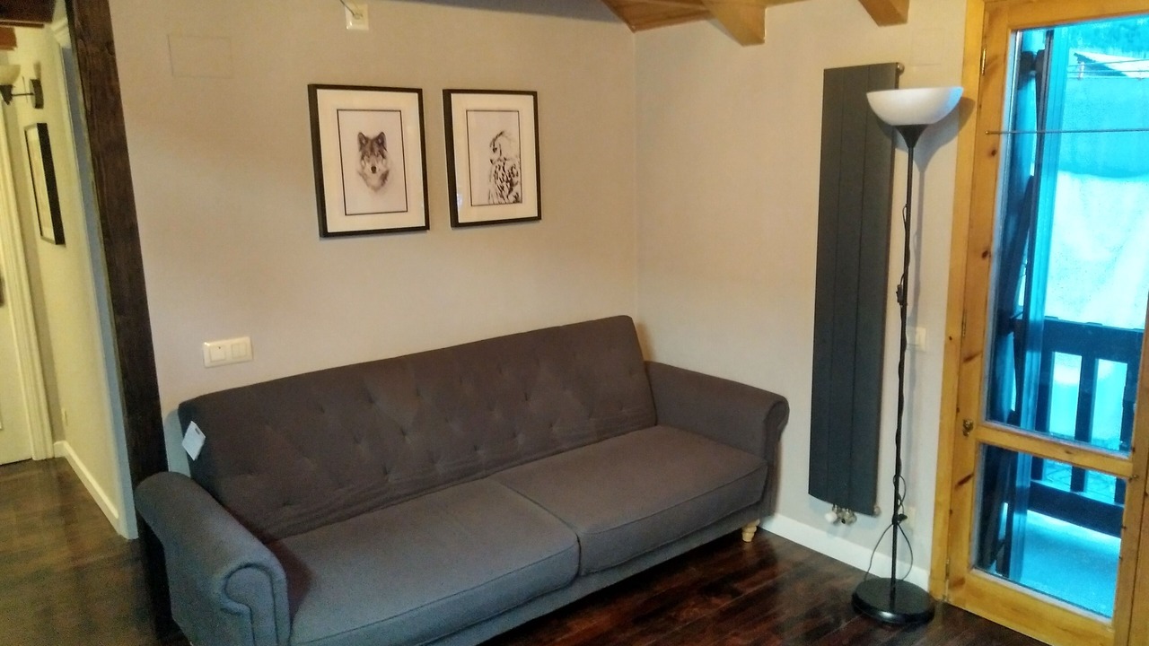 Photo of Livingroom in Benasque