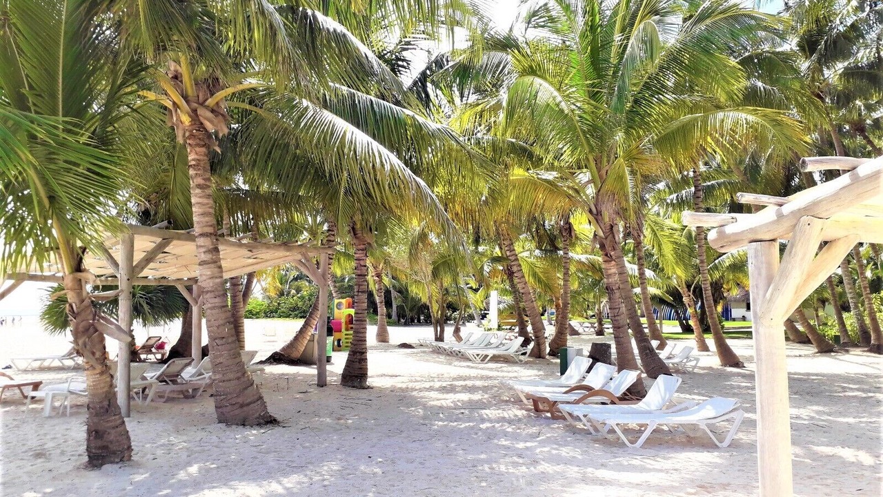 Photo of Outdoor in Punta Cana Village